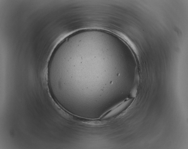 X0000116591388200912291259