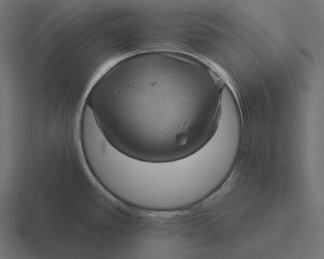 X0000116591389200912291259