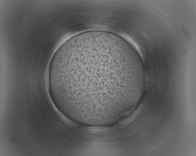 X0000116591391200912291259