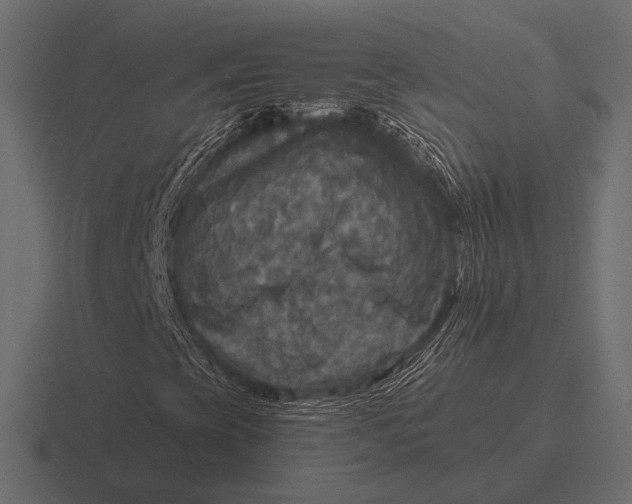 X0000116591393200912291259