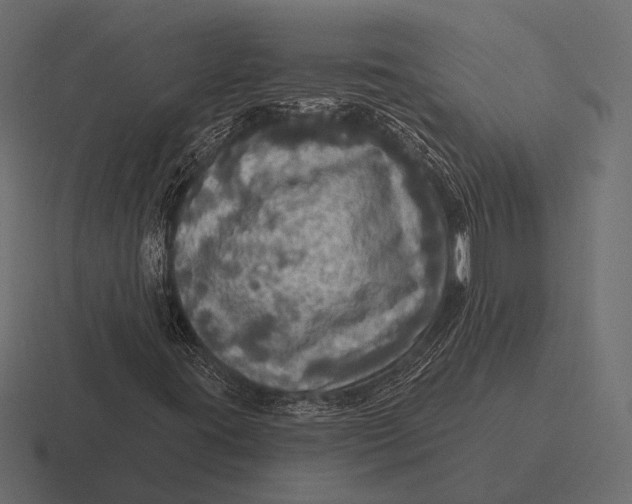 X0000116591395200912291259