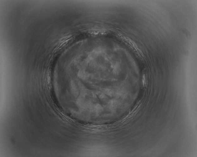 X0000116591396200912291259