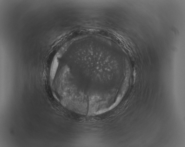 X0000116591397200912291259