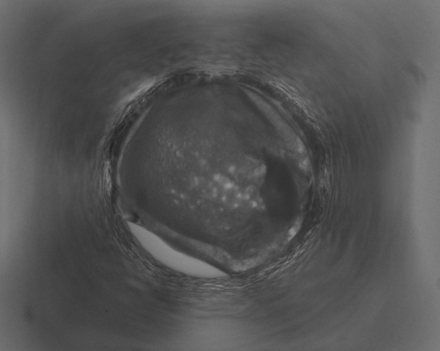 X0000116591398200912291259