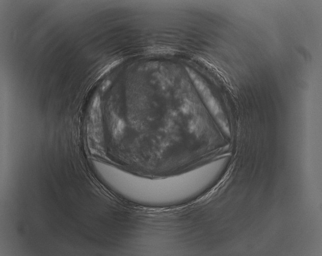 X0000116591401200912291259