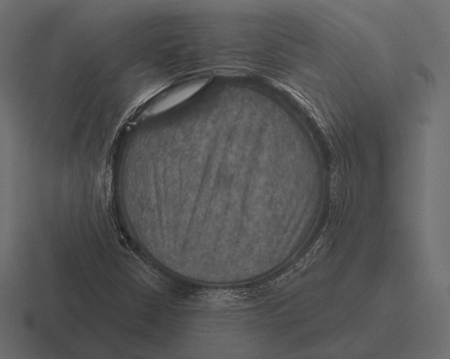 X0000116591402200912291259