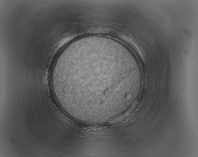 X0000116591404200912291259