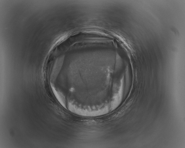 X0000116591405200912291259