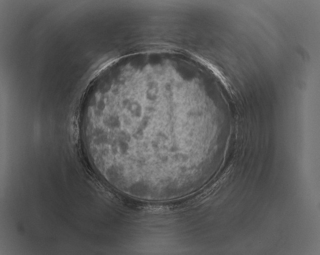 X0000116591407200912291259