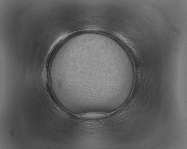 X0000116591408200912291259