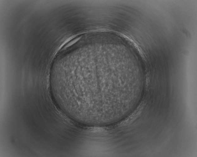 X0000116591409200912291259