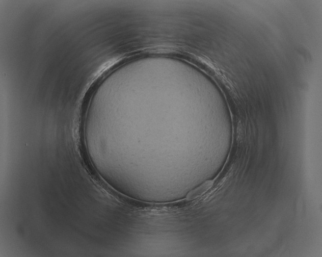 X0000116591410200912291259