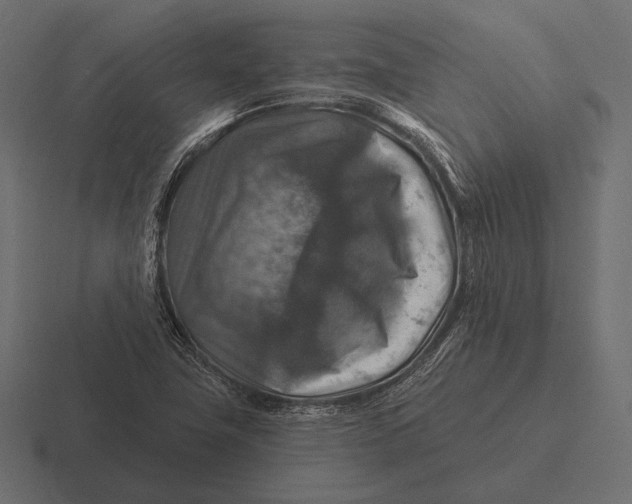 X0000116591411200912291259