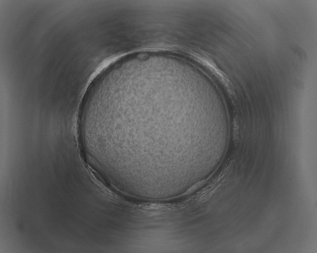 X0000116591412200912291259