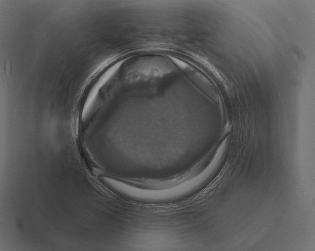 X0000116591413200912291259