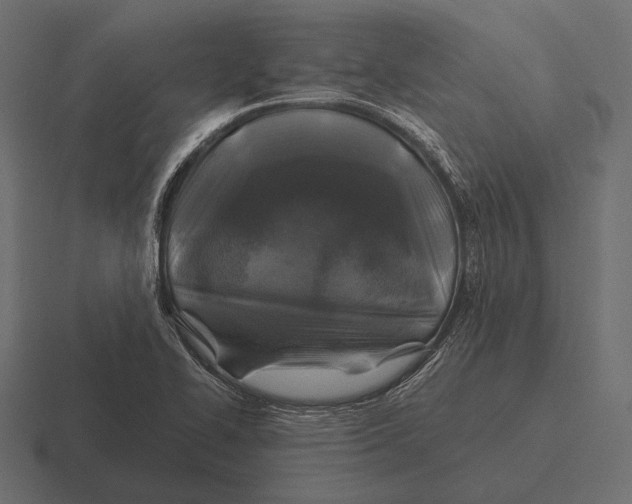 X0000116591414200912291259