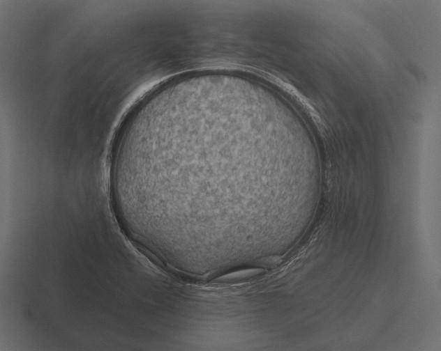 X0000116591416200912291259