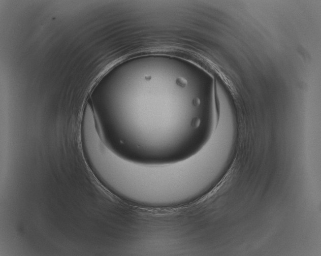 X0000116591417200912291259