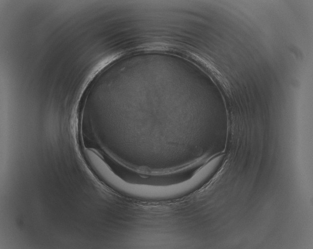 X0000116591418200912291259