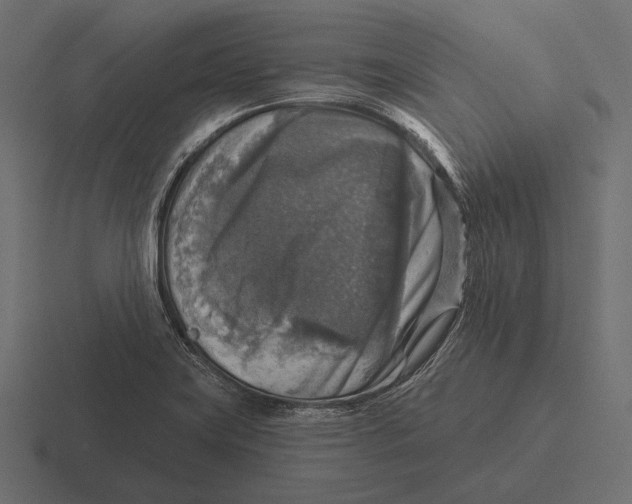 X0000116591419200912291259