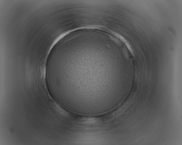 X0000116591420200912291259