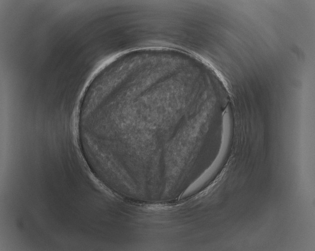 X0000116591421200912291259