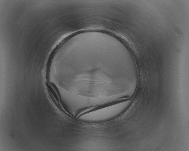 X0000116591422200912291259