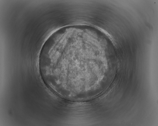 X0000116591423200912291259