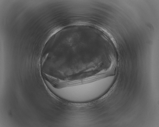 X0000116591425200912291259