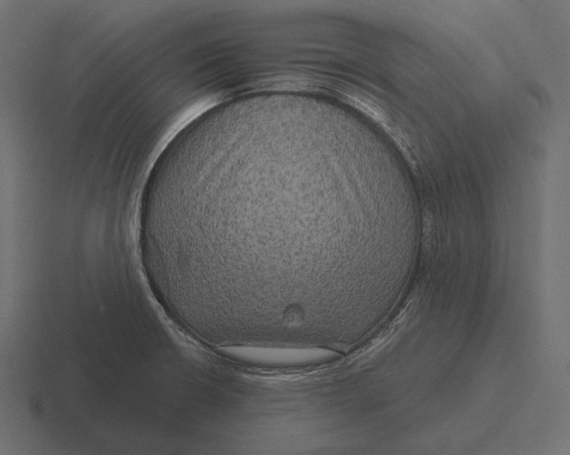 X0000116591426200912291259