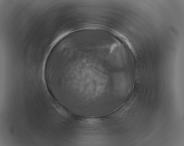 X0000116591427200912291259