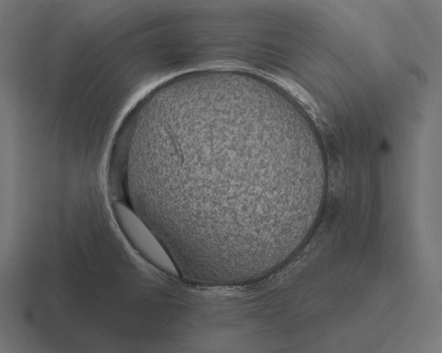 X0000116591430200912291259