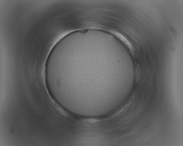 X0000116591431200912291259