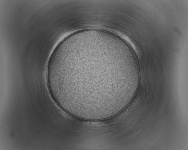 X0000116591432200912291259