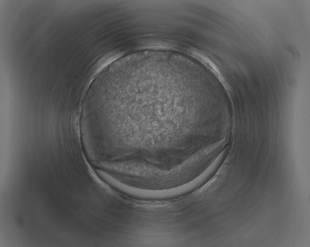 X0000116591433200912291259