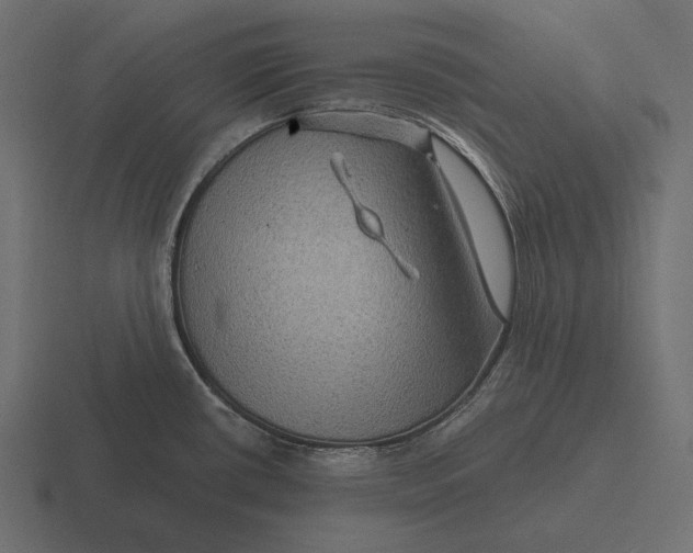 X0000116591434200912291259