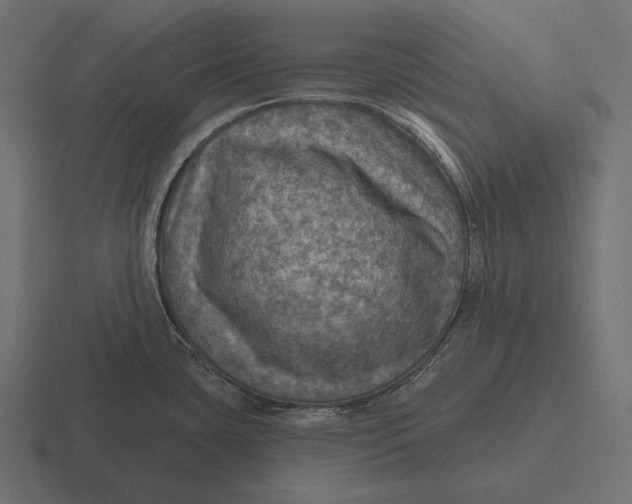 X0000116591435200912291259