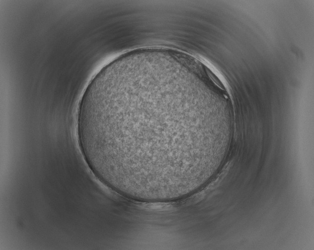 X0000116591437200912291259