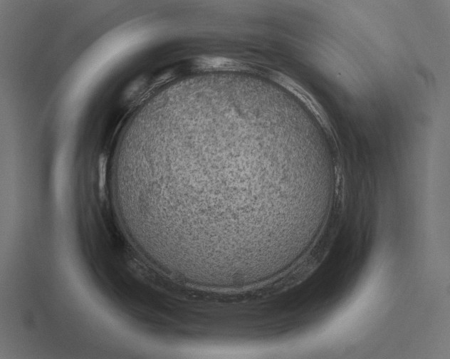 X0000116591439200912291259