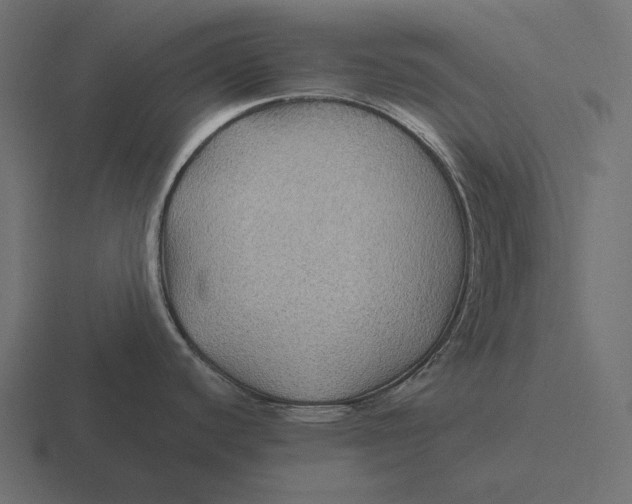 X0000116591440200912291259