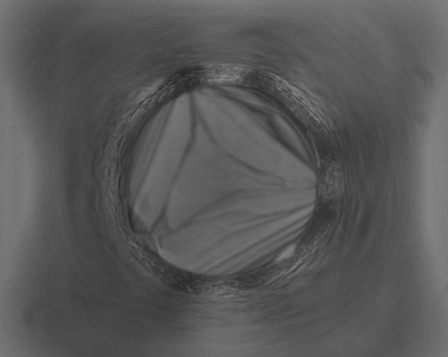 X0000116591441200912291259