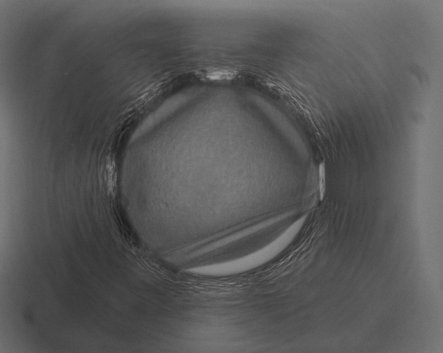 X0000116591443200912291259