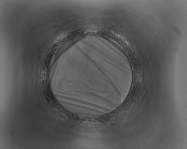 X0000116591445200912291259