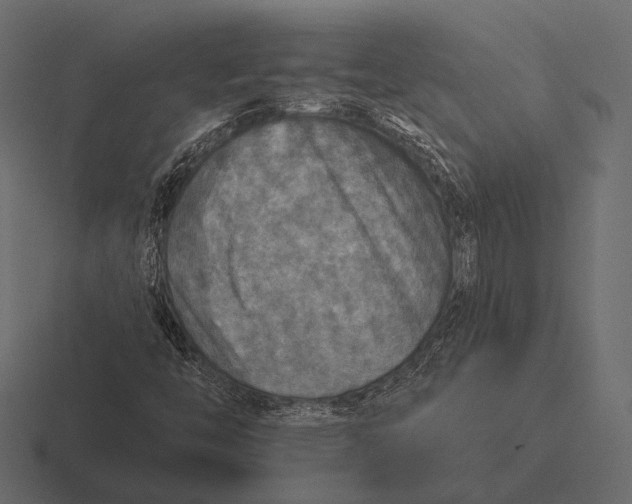 X0000116591446200912291259