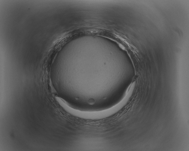 X0000116591447200912291259