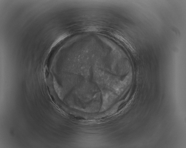 X0000116591450200912291259