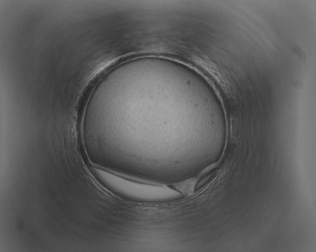 X0000116591452200912291259