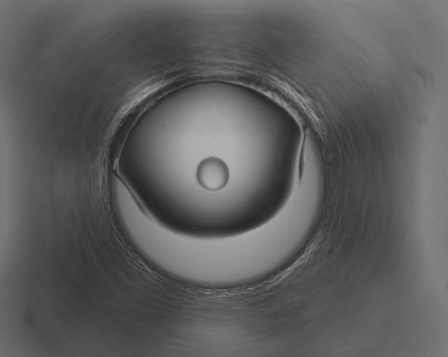 X0000116591453200912291259