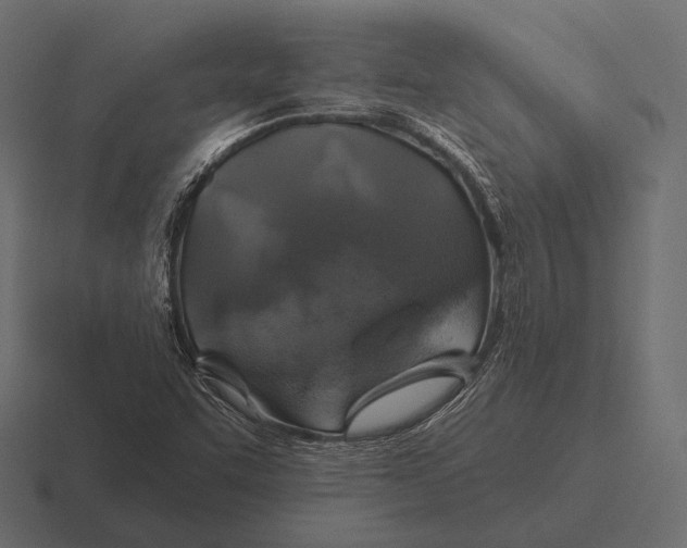 X0000116591455200912291259