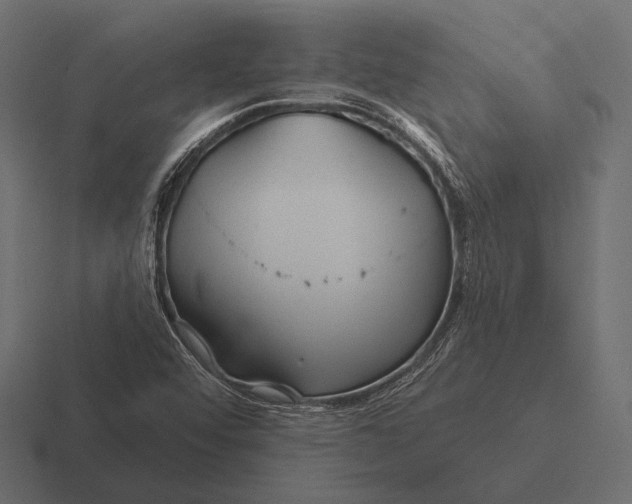 X0000116591456200912291259